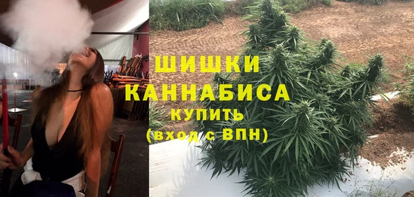 не бодяженный Туринск