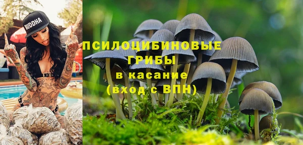 дмт Белоозёрский