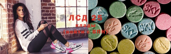 шишки Нея